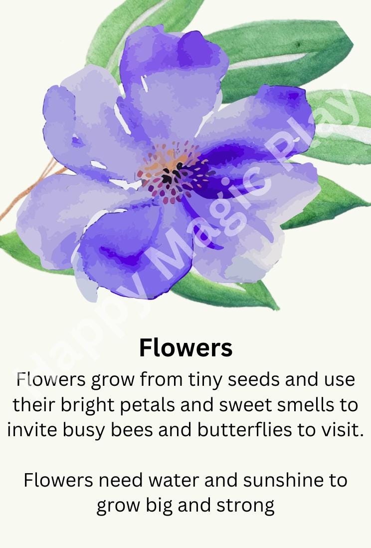 Garden Flashcards: Sensory Play, Educational Montessori Gift