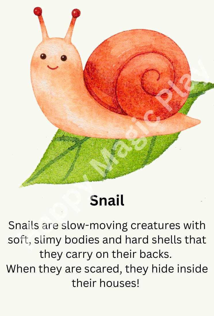 Garden Flashcards: Sensory Play, Educational Montessori Gift