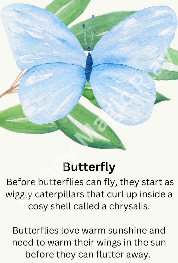 Garden Flashcards: Sensory Play, Educational Montessori Gift