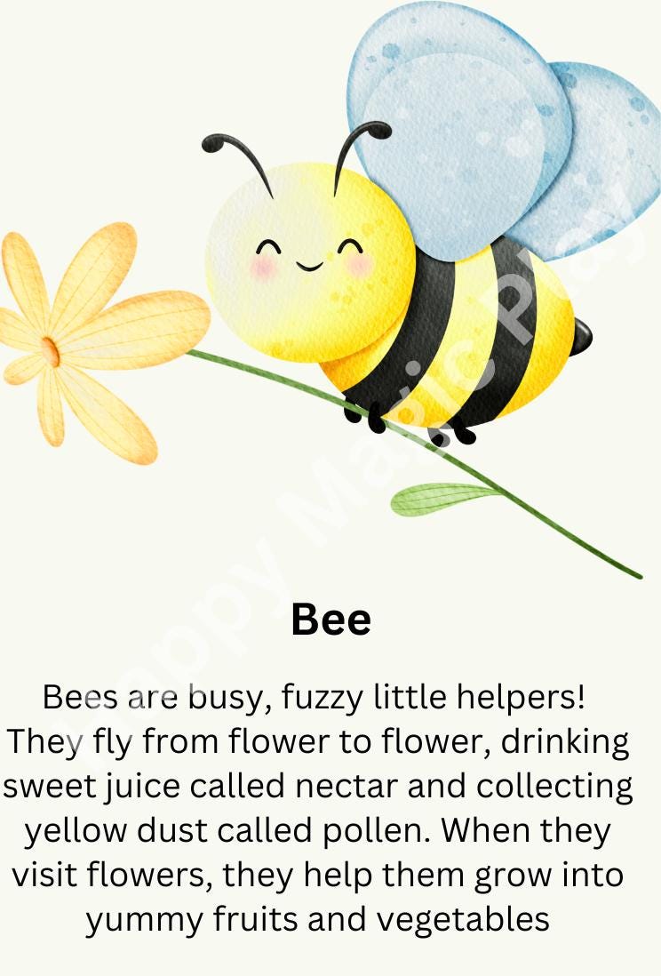 Garden Flashcards: Sensory Play, Educational Montessori Gift